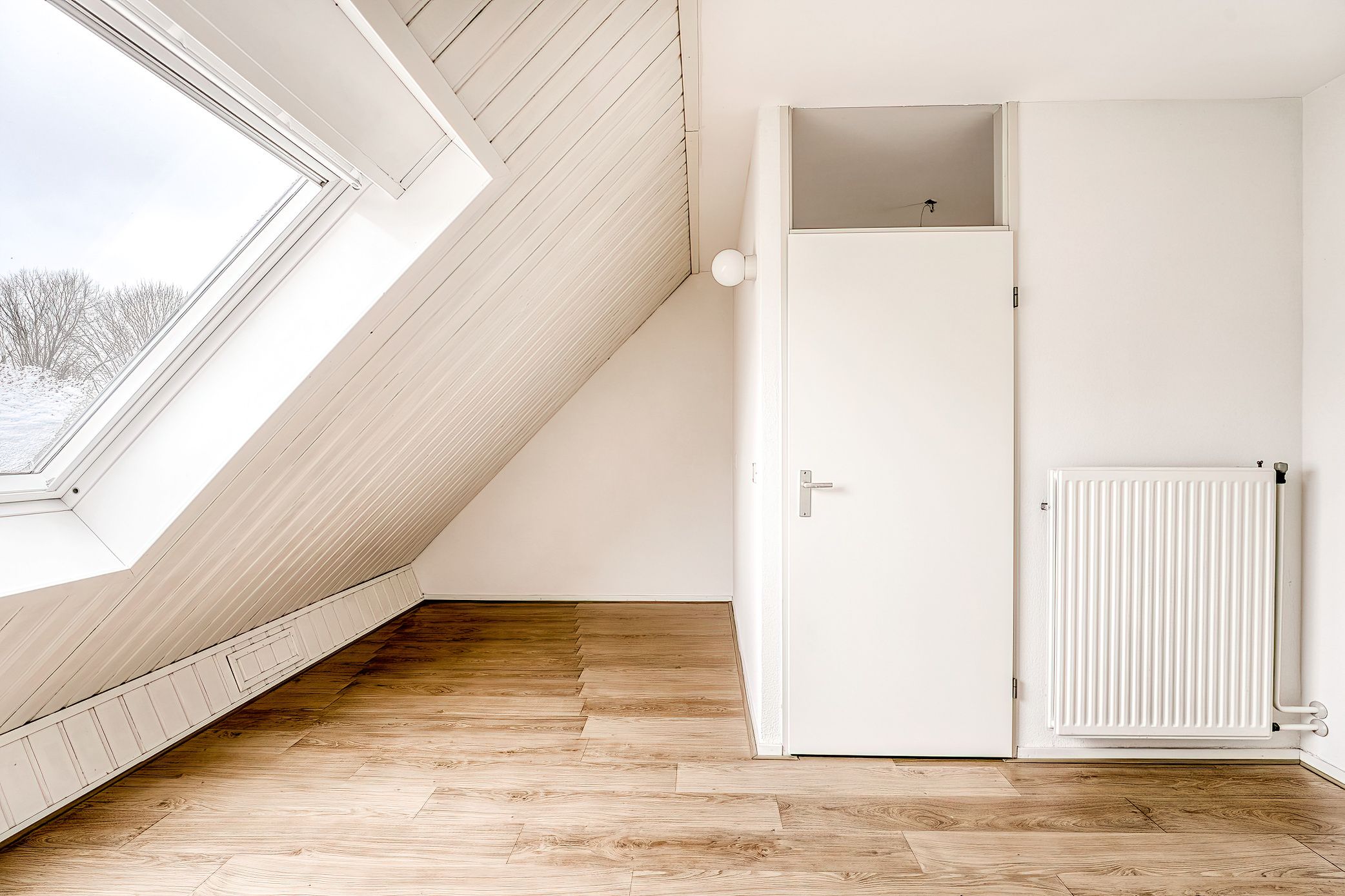 Foto 27 van Saturnus 46