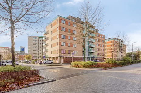 undefined main image