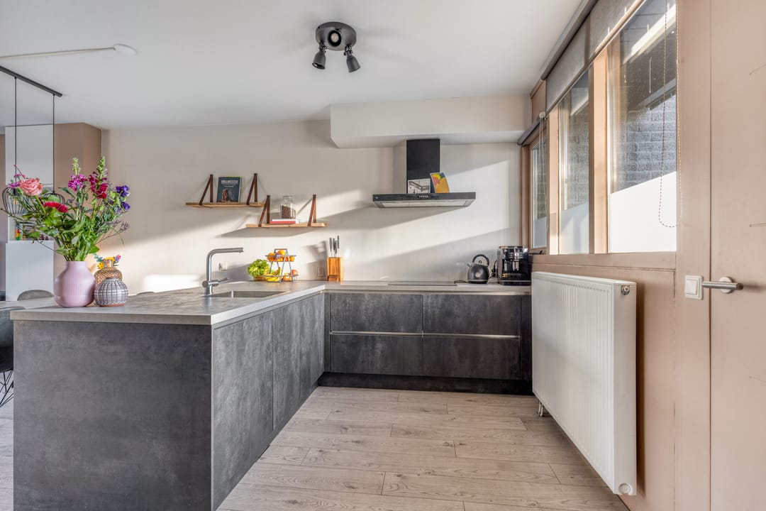 Photo 13 of Neptunus 23