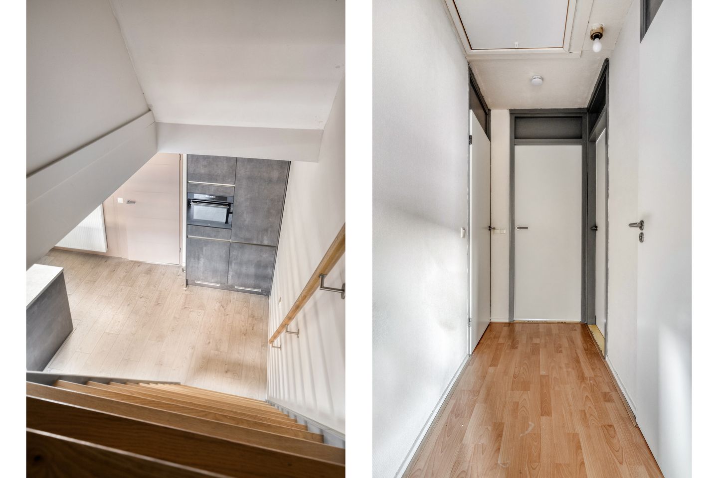 Photo 19 of Neptunus 23