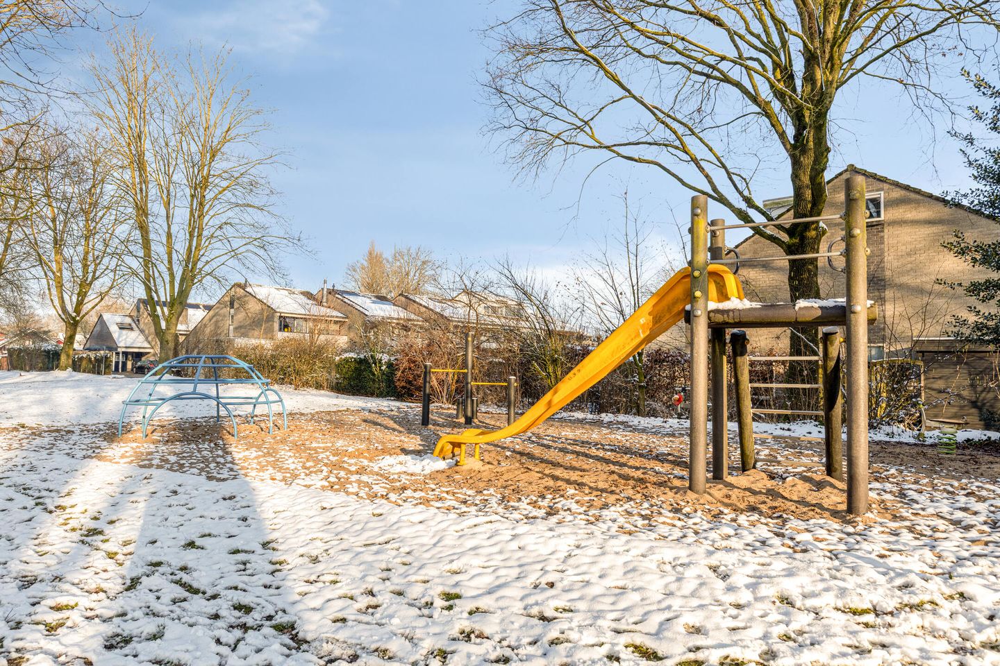 Photo 40 of Neptunus 23