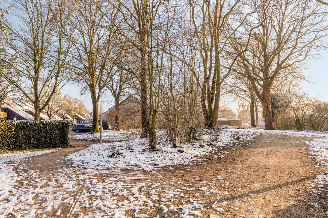 Photo 41 of Neptunus 23