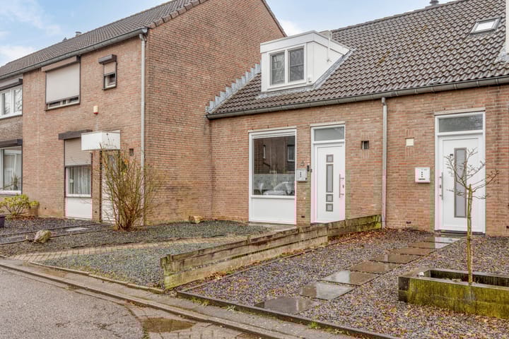 Foto 1 van Lepidodendronerf 4