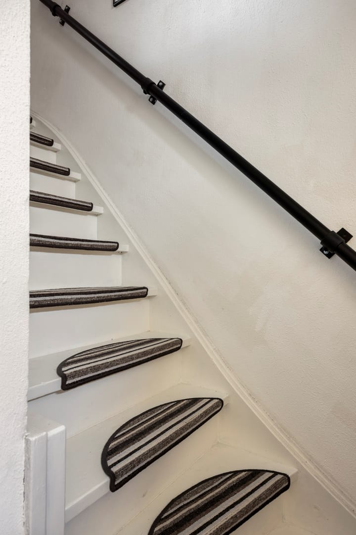 Foto 3 van Lepidodendronerf 4