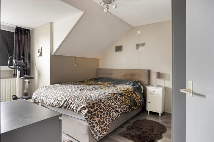 Foto 6 van Lepidodendronerf 4