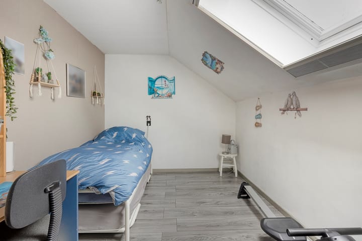 Foto 8 van Lepidodendronerf 4