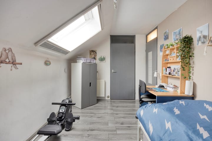 Foto 9 van Lepidodendronerf 4