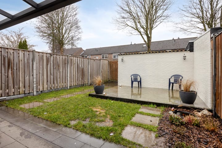 Foto 14 van Lepidodendronerf 4