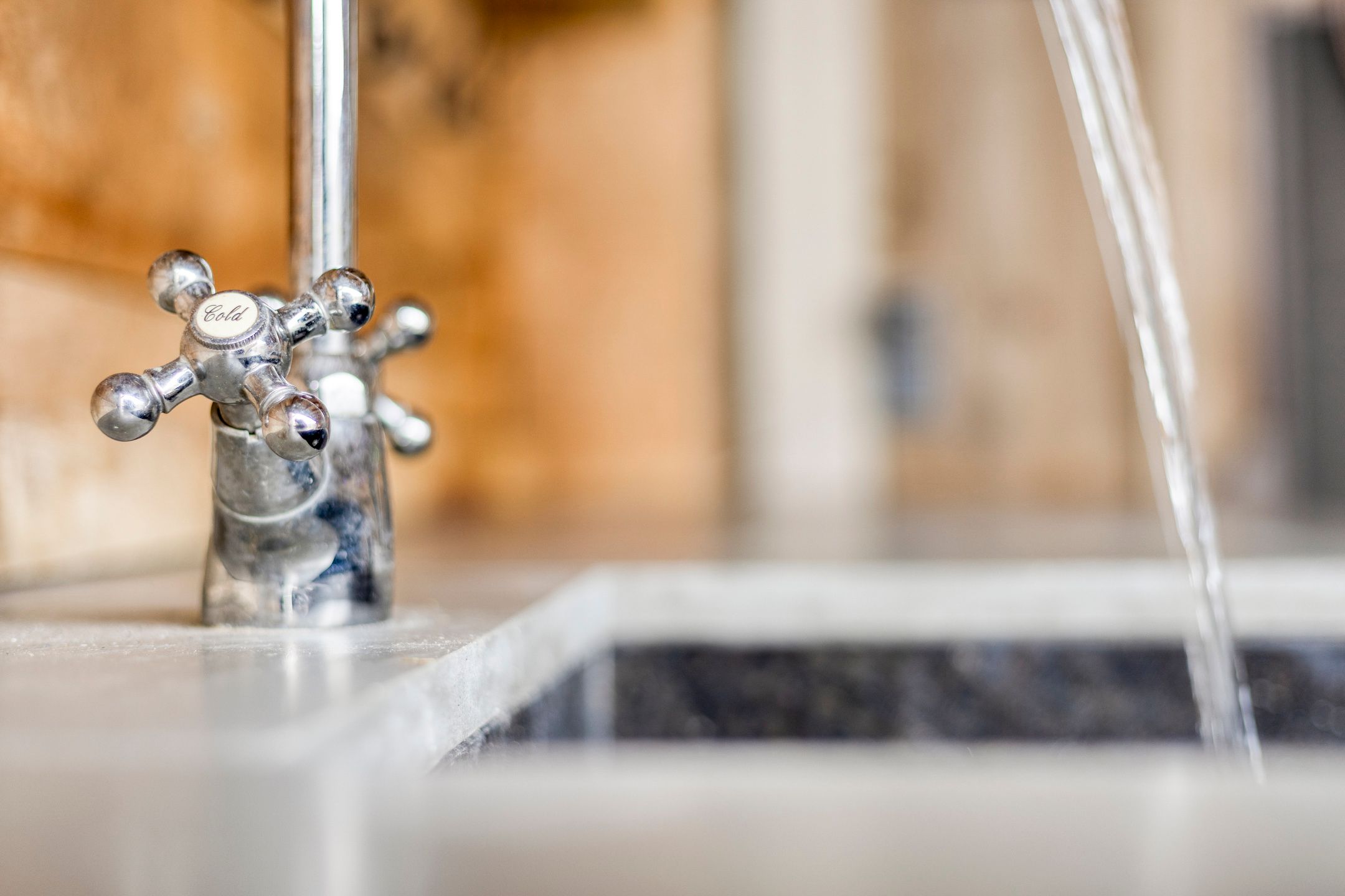 Foto 42 van Gentiaan 59