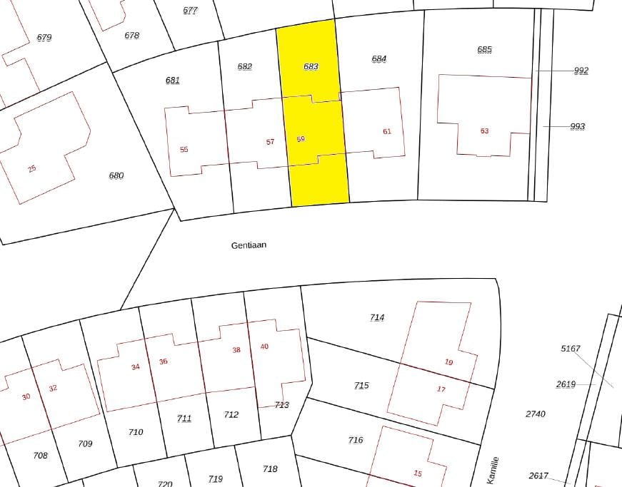 Foto 49 van Gentiaan 59