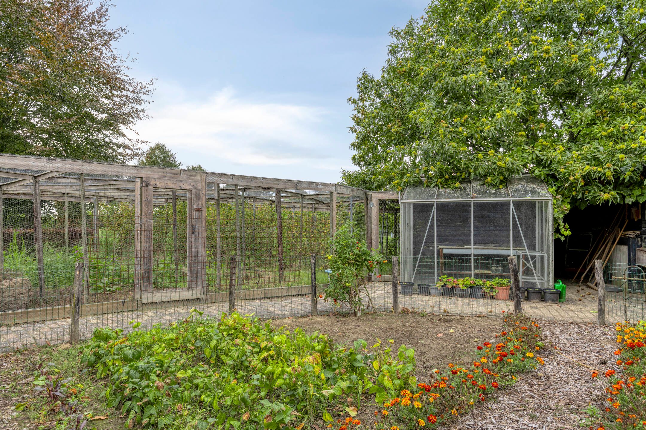 Foto 69 van Keijenborgseweg 31