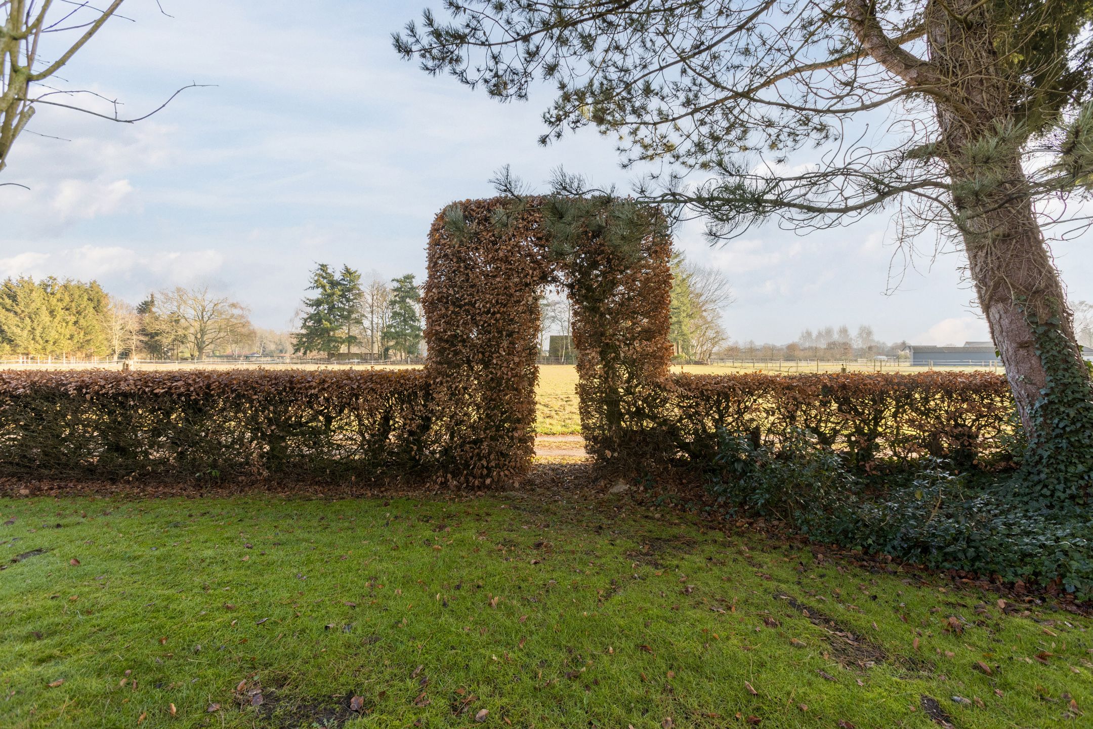 Foto 60 van Heideweg 12