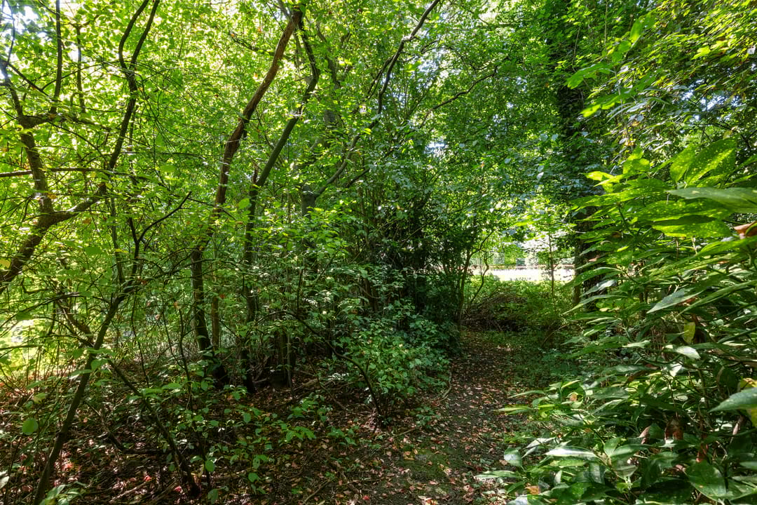 Photo 56 of Plantsoenlaan 29