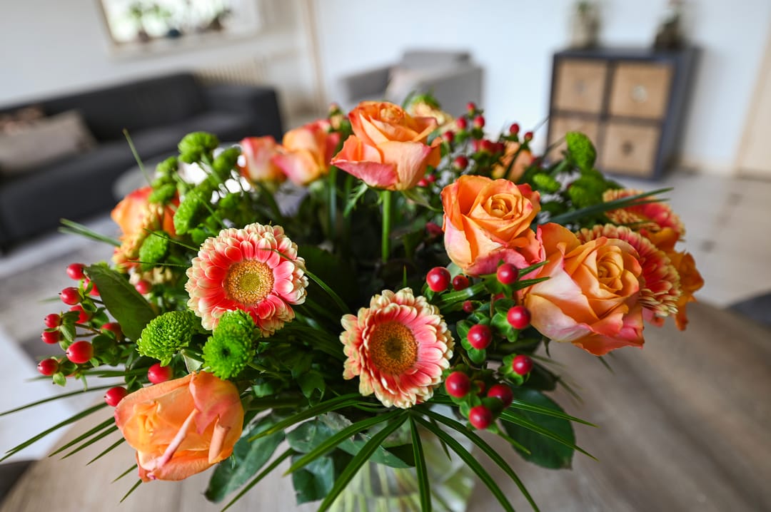 Foto 8 van Dignaland 6