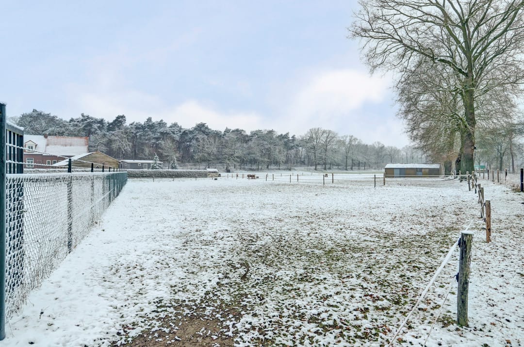 Foto 28 van Horsterdijk 74