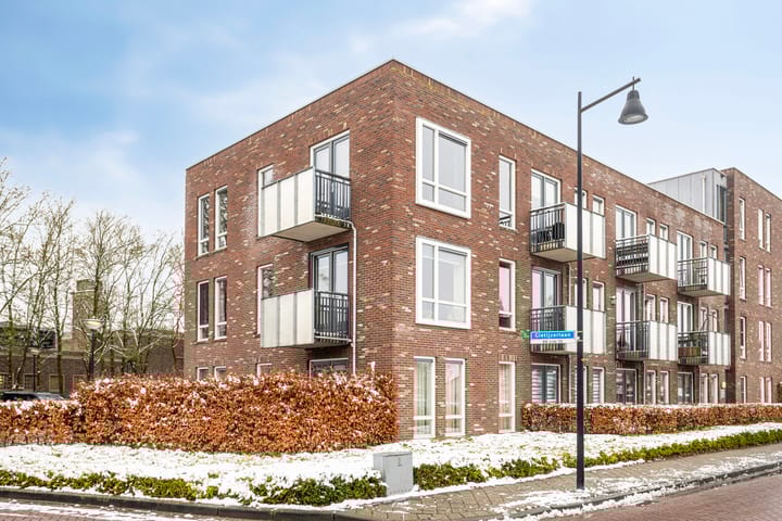 DRU-laan 61 main image