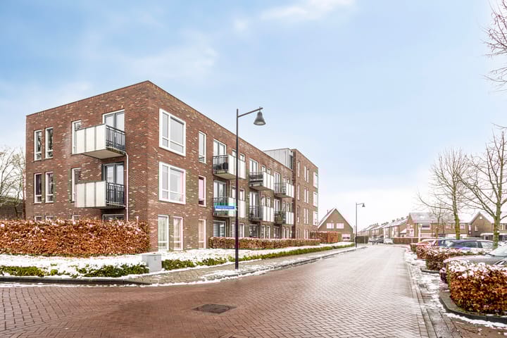 Foto 24 van DRU-laan 61