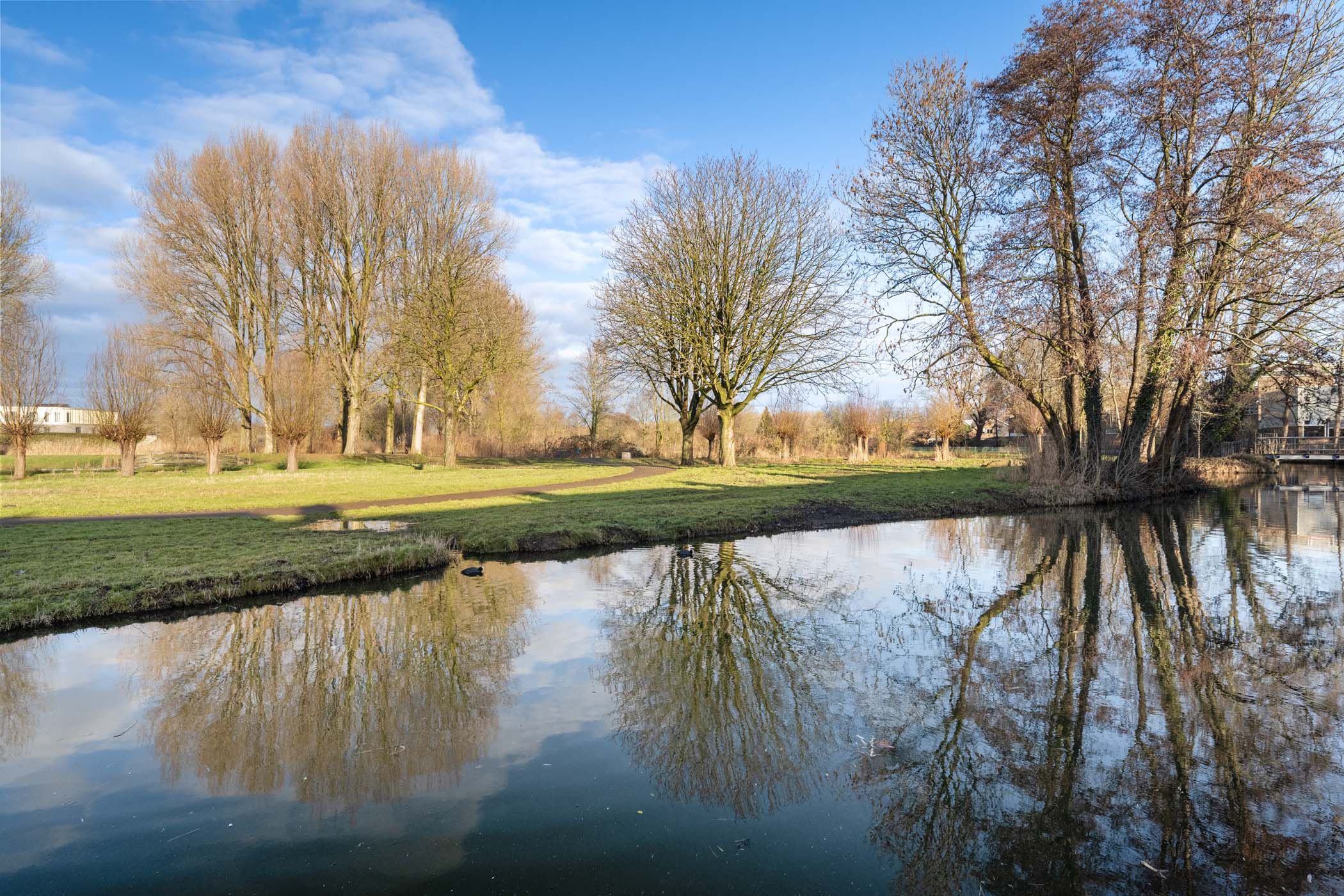 Photo 42 of Beukmolen 96