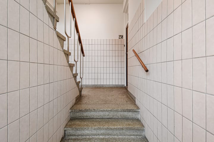 Foto 45 van Balsemienlaan 242