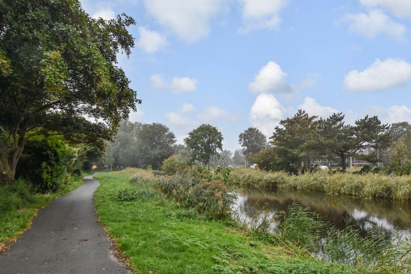 Foto 50 van Balsemienlaan 242