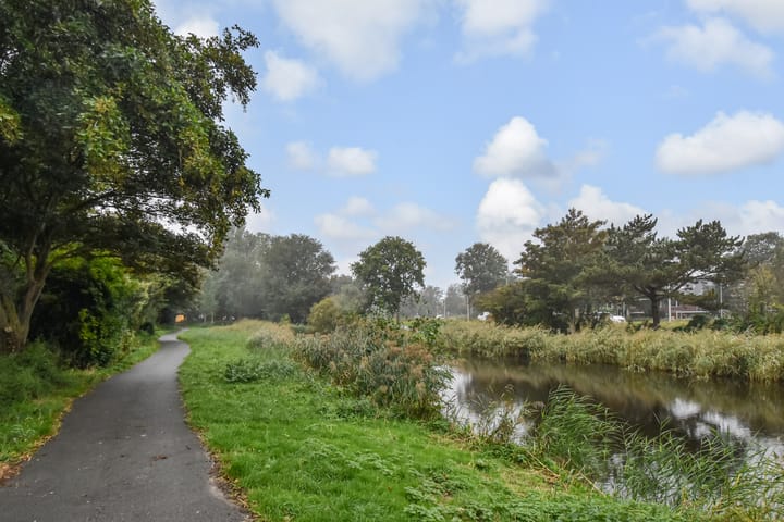 Foto 50 van Balsemienlaan 242