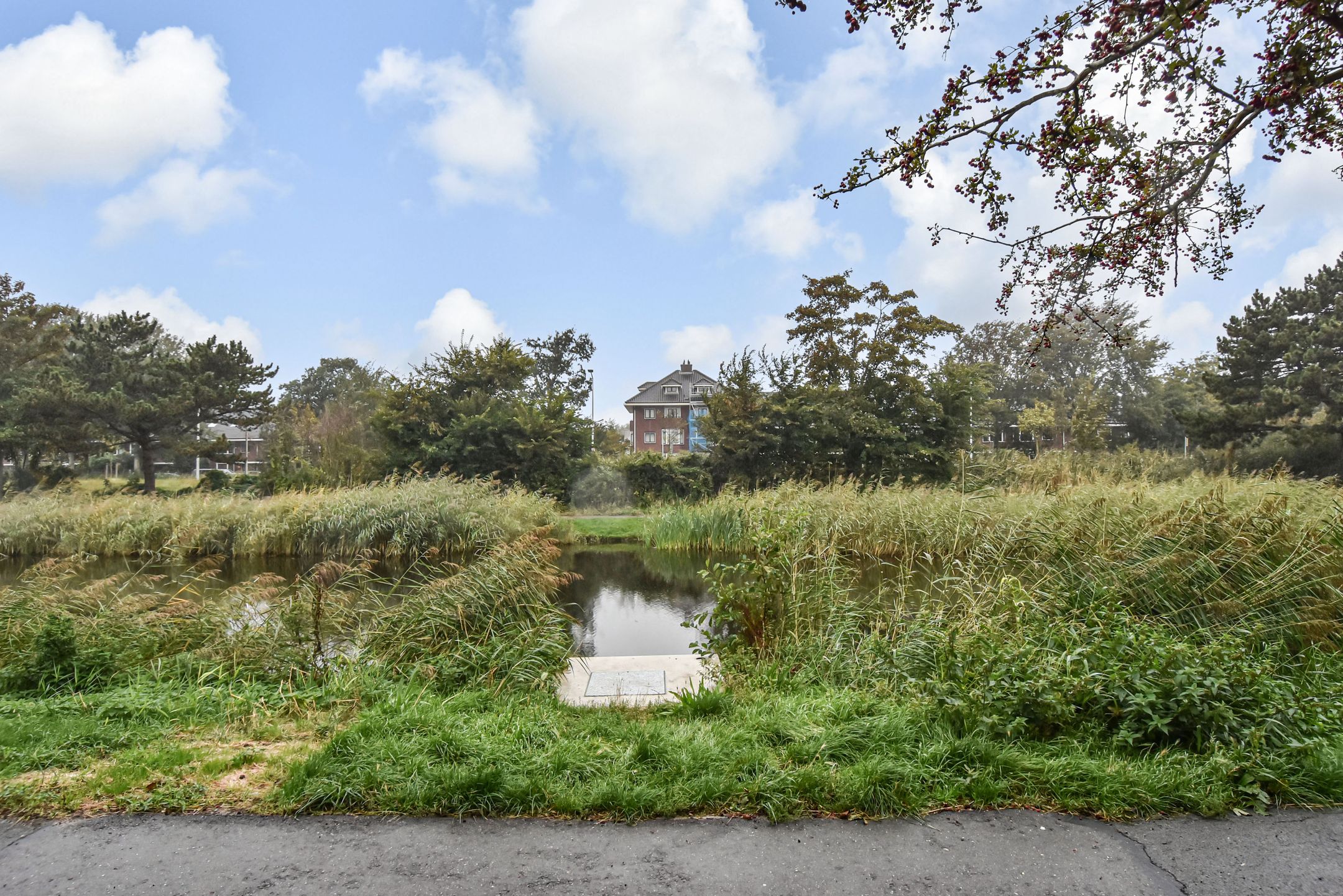 Foto 51 van Balsemienlaan 242