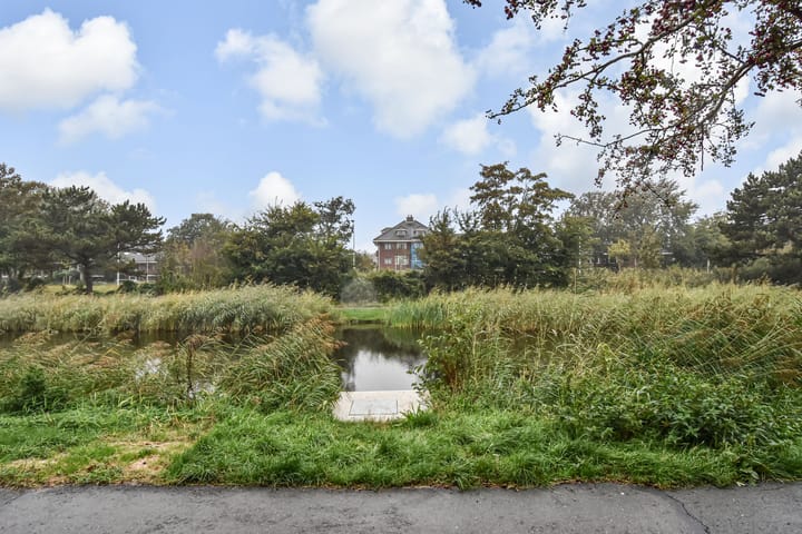 Foto 51 van Balsemienlaan 242