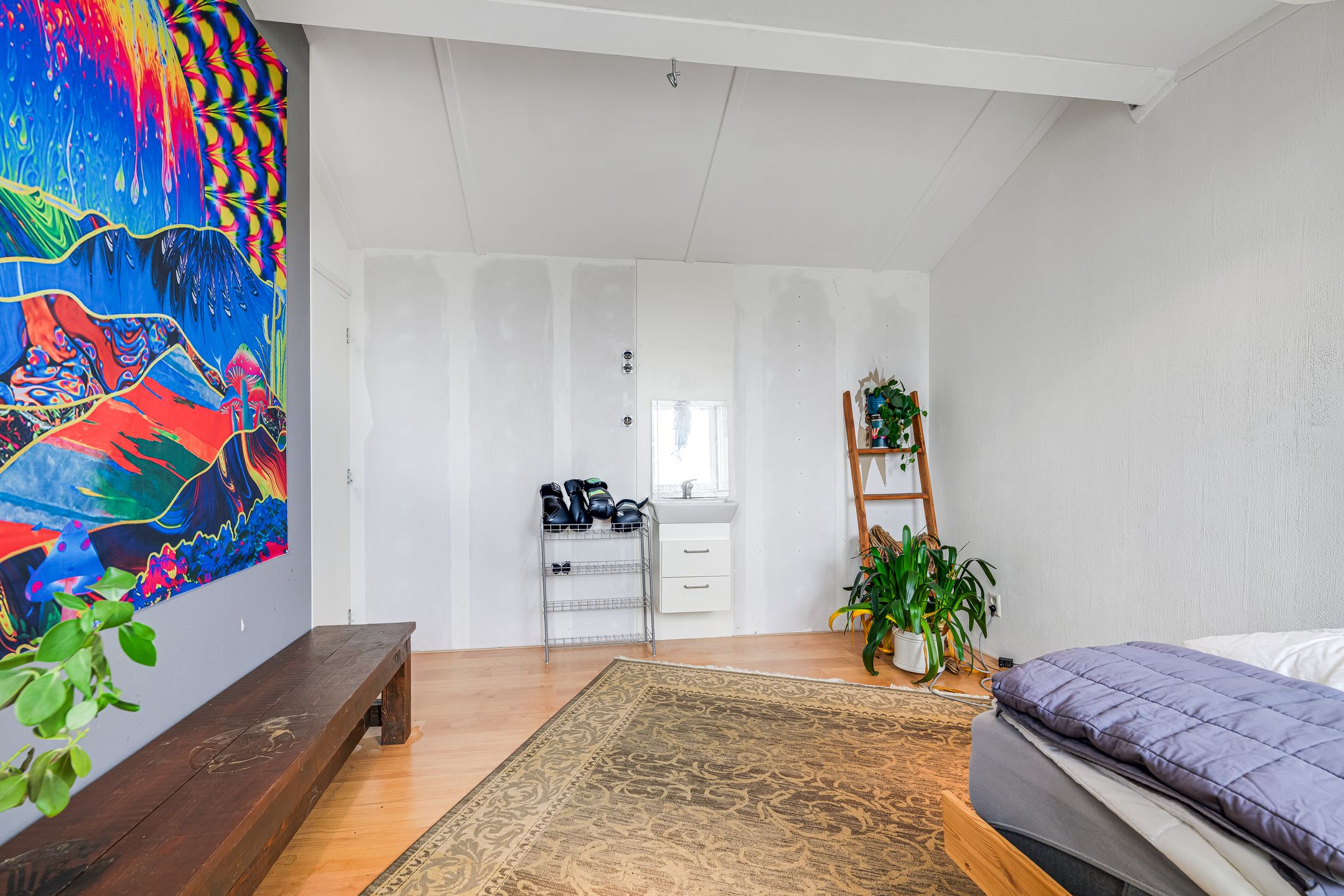 Photo 18 of Hebriden 213