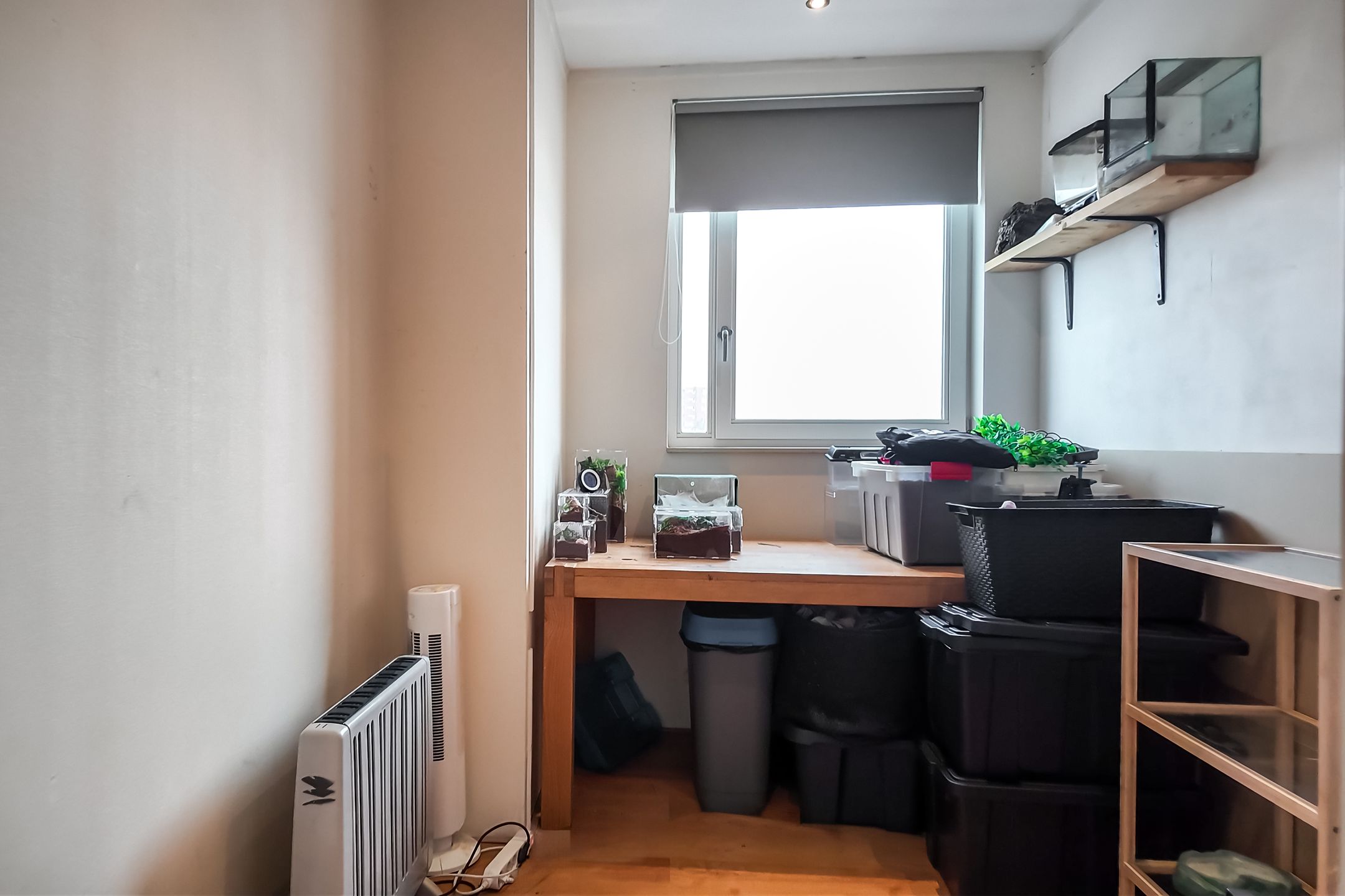 Photo 21 of Hebriden 213