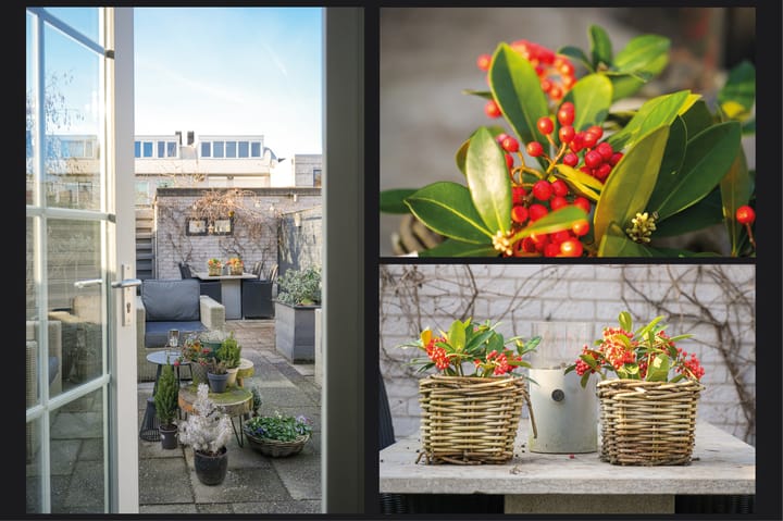 Foto 34 van Augusto Sandinostraat 208