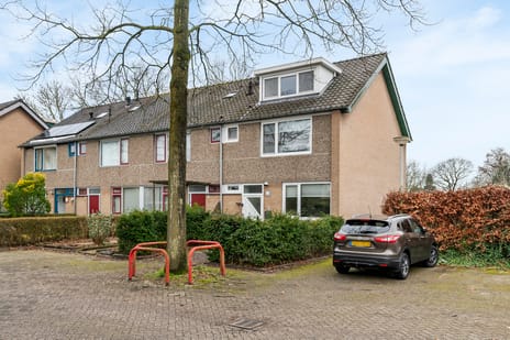 undefined main image