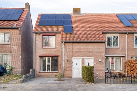 undefined main image