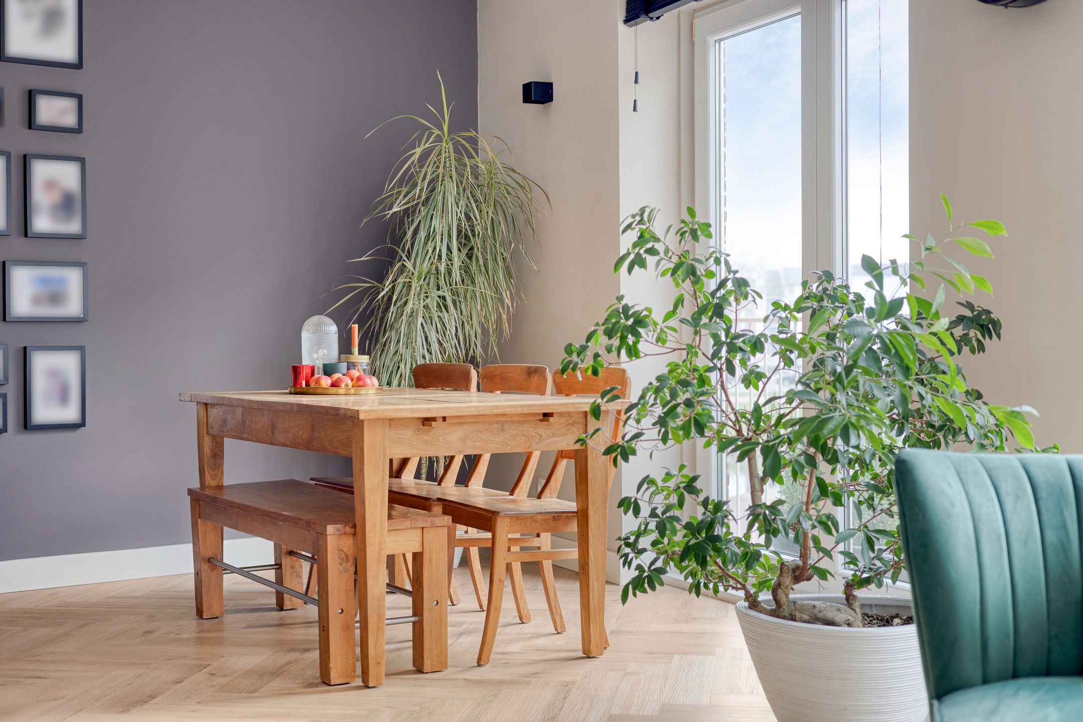 Foto 6 van Noordpassage 27