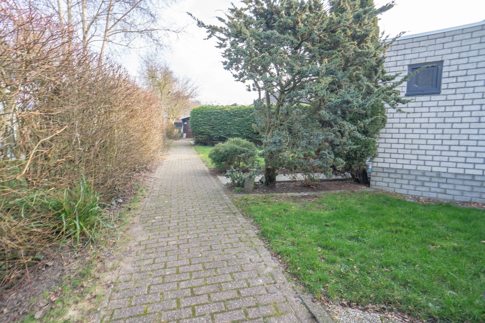 Foto 36 van Park De Horn 124