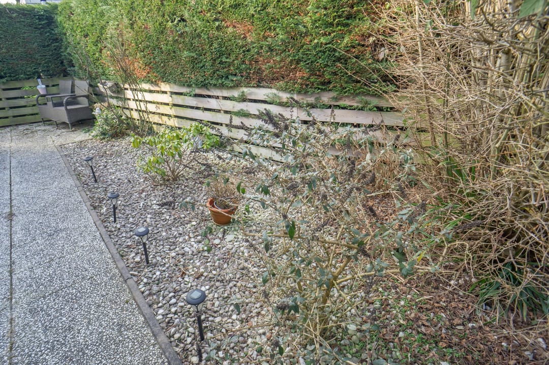 Foto 37 van Park De Horn 124