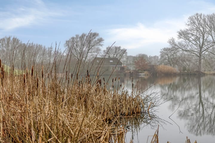 Foto 4 van de Tuut 20