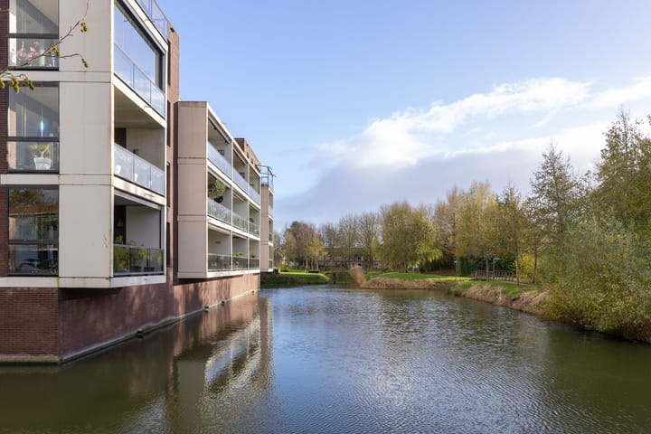 Photo 6 of IJsvogel 23