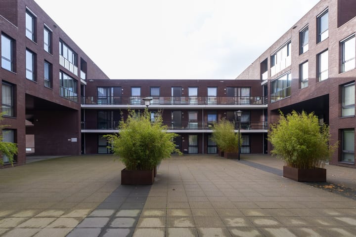 Photo 8 of IJsvogel 23