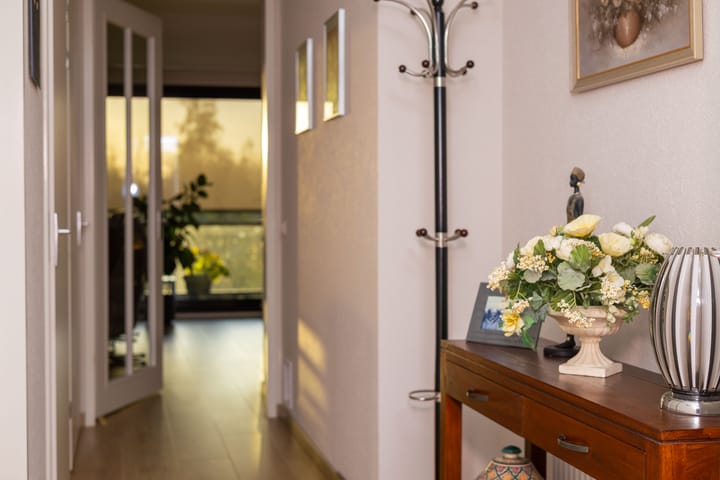 Photo 12 of IJsvogel 23