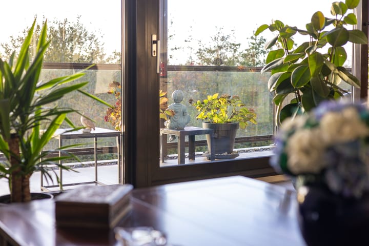 Photo 19 of IJsvogel 23