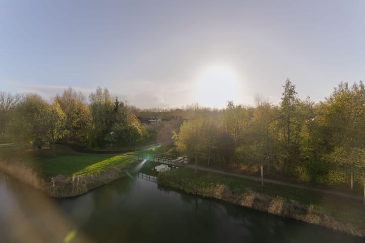 Photo 24 of IJsvogel 23