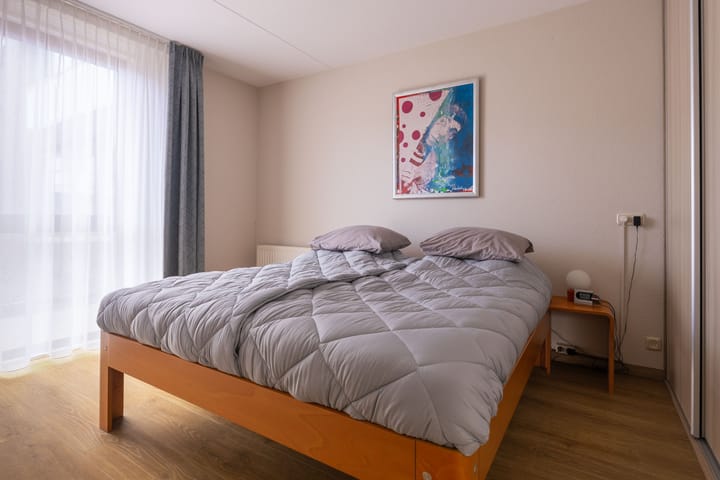 Photo 29 of IJsvogel 23