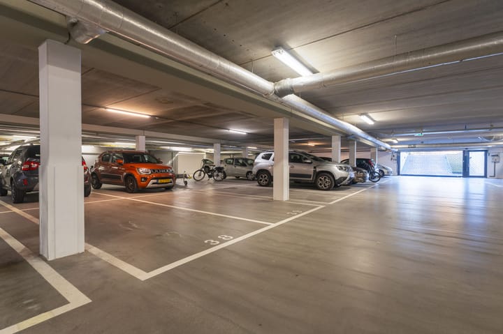 Photo 34 of IJsvogel 23