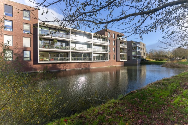 Photo 38 of IJsvogel 23