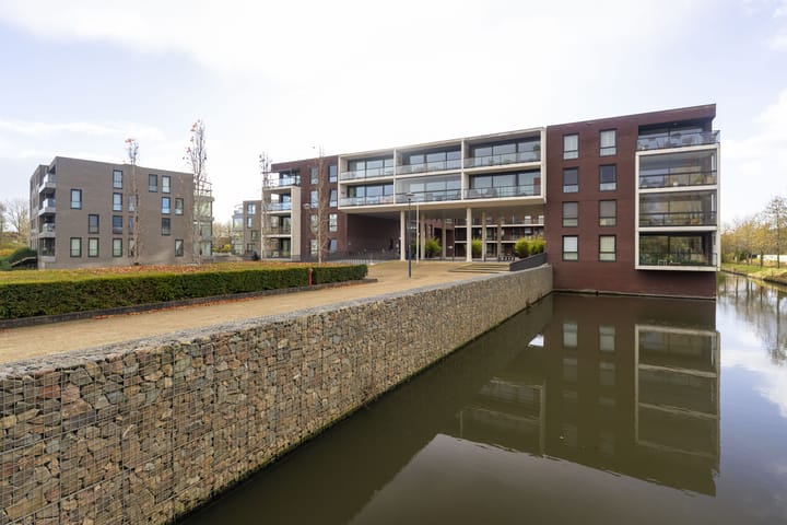 Photo 43 of IJsvogel 23