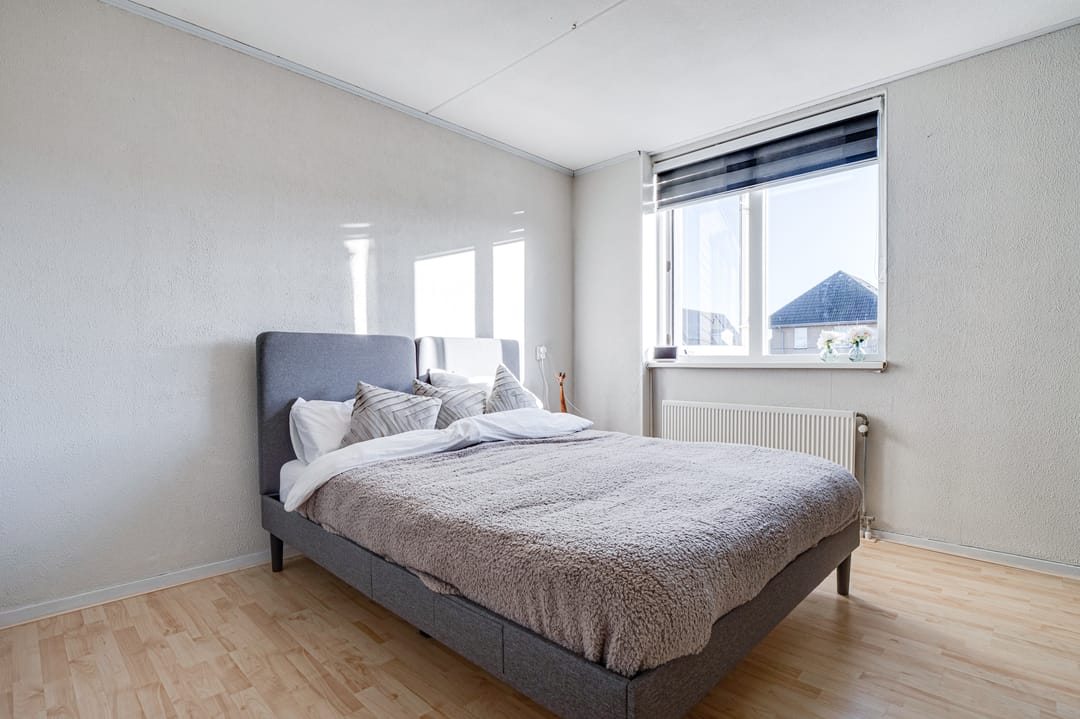 Foto 17 van Zomersloot 9