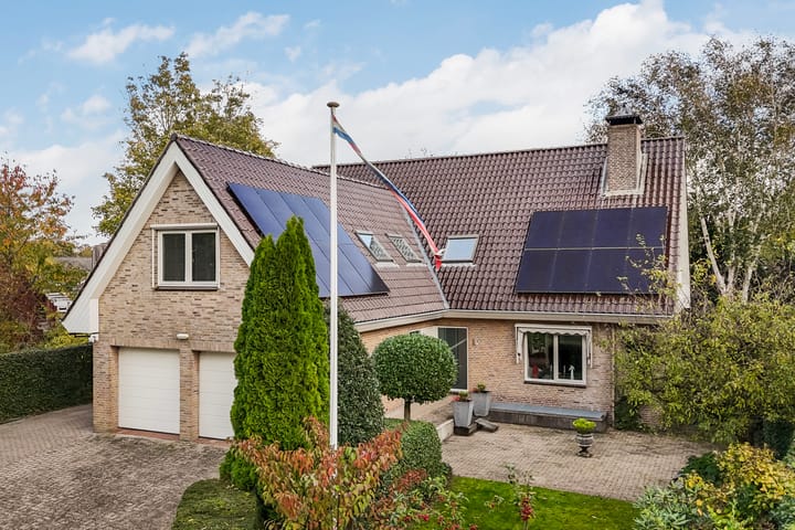 Bostulp 1 main image