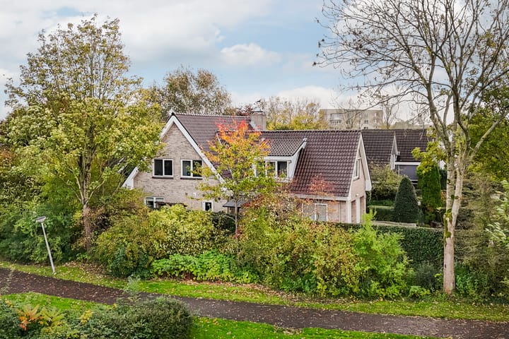 Foto 5 van Bostulp 1