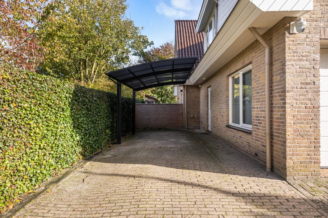 Photo 41 of Bostulp 1