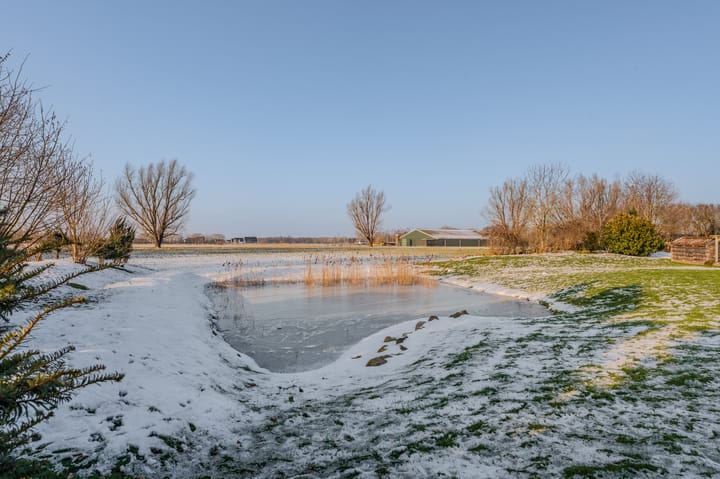 Foto 3 van Binnenweg 4